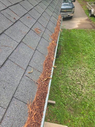 Gutter filled with pine needles on a roof beside a driveway and lawn.