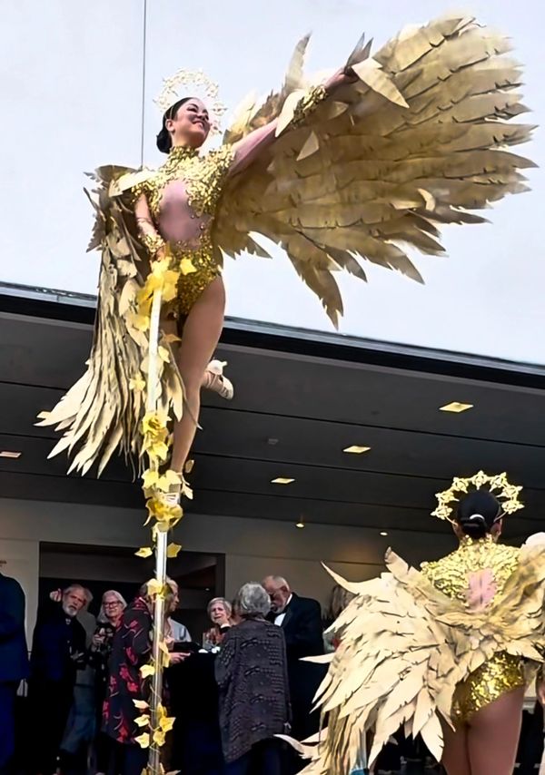 Oceanside Museum of arts aerialist performing with handmade golden wings