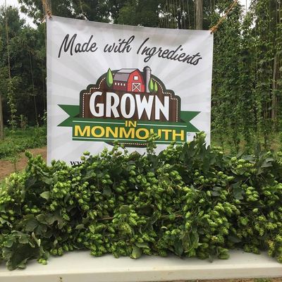 Grown In Monmouth