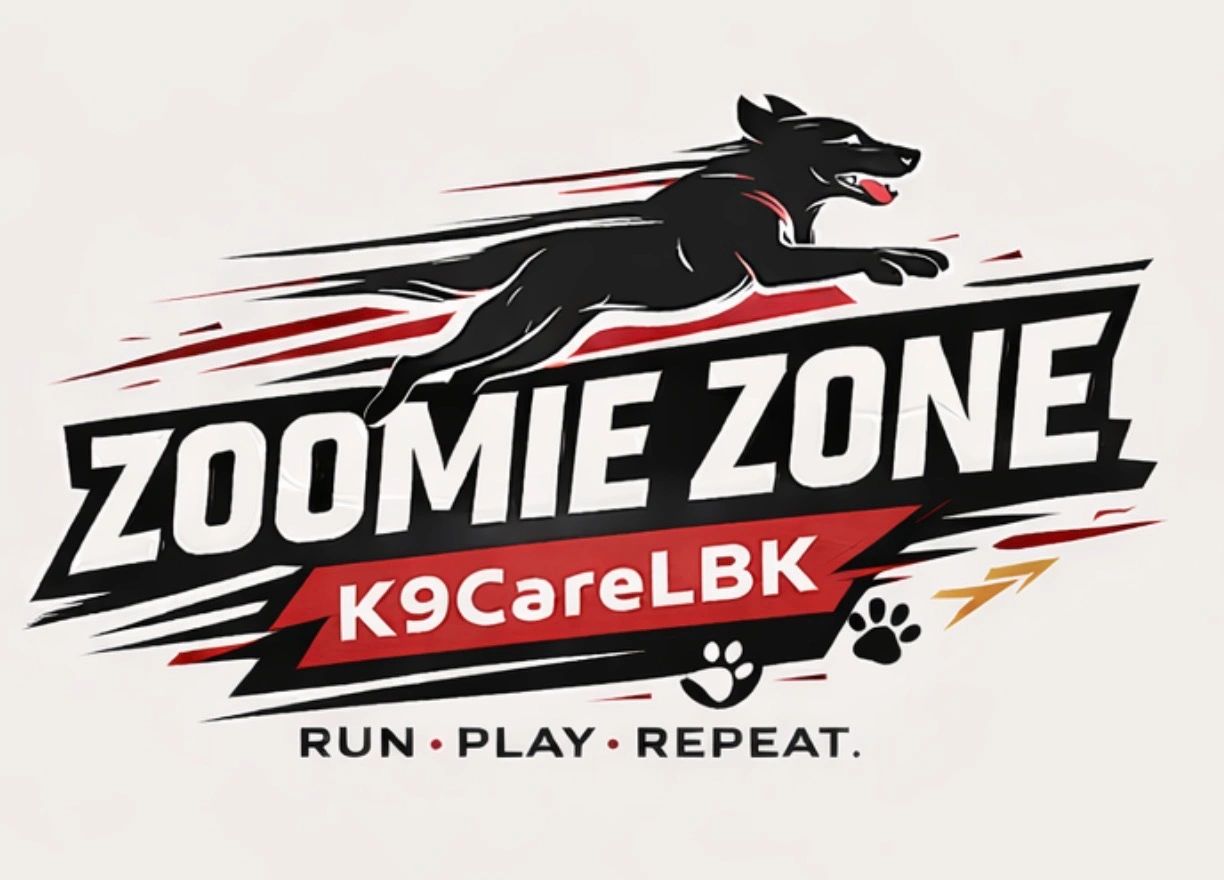 Indoor Zoomie Zone