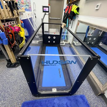 An underwater treadmill for aquatic exercise in a therapy room.
