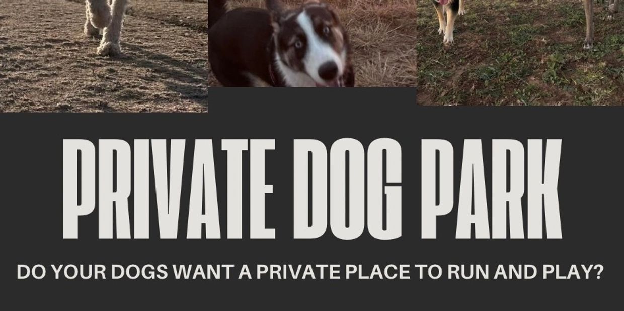 Advertisement for a private dog park with playful dogs shown.