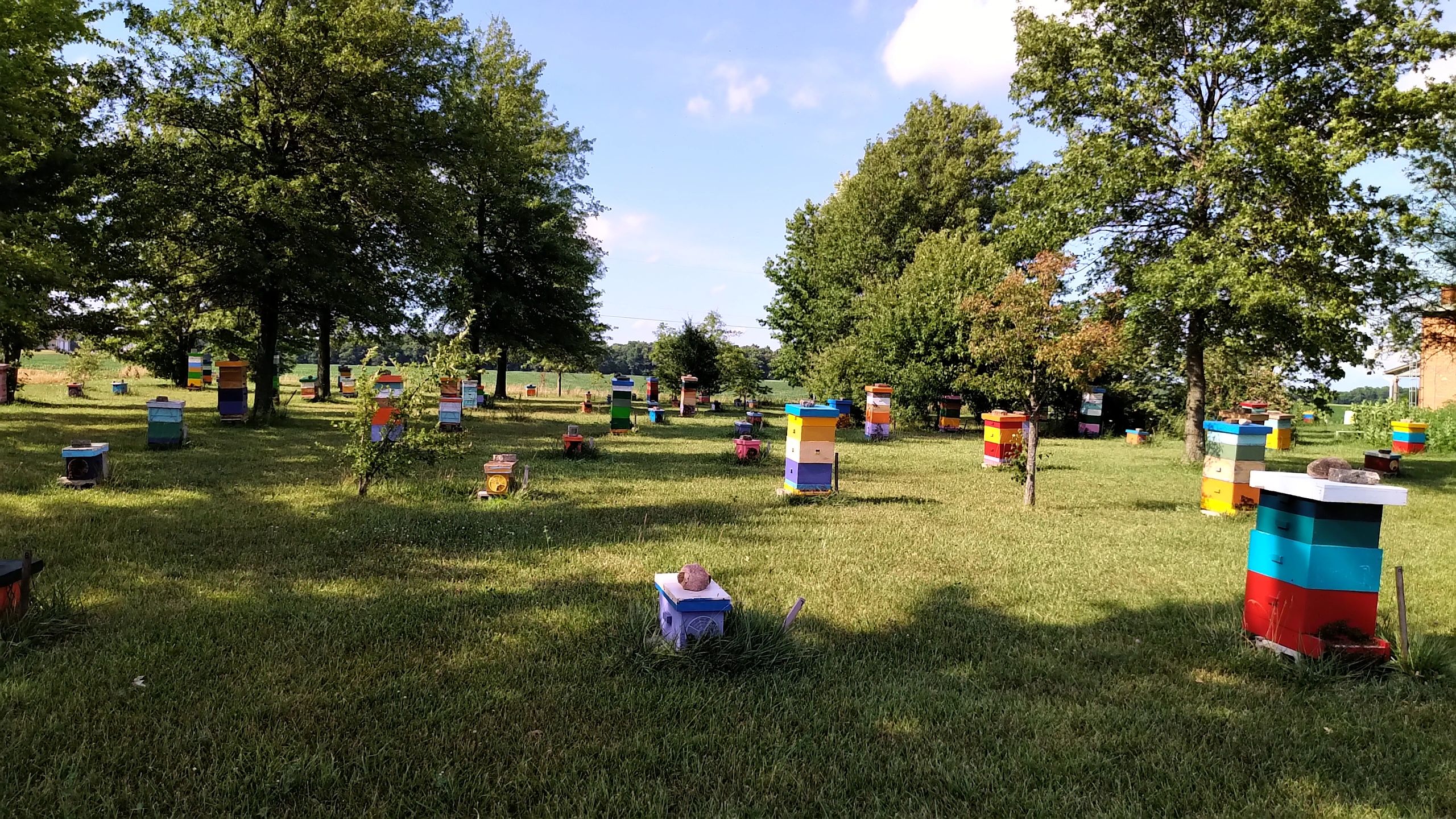 Mike's Bees And Honey