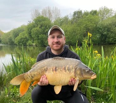 26LB Mirror Luxor