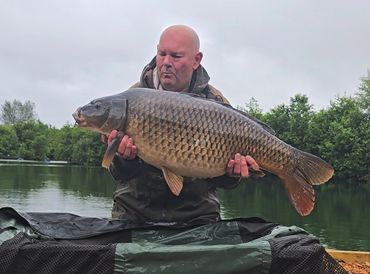 Common 34LB