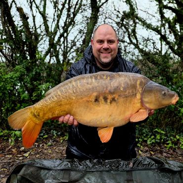 Big Caesar 37LB