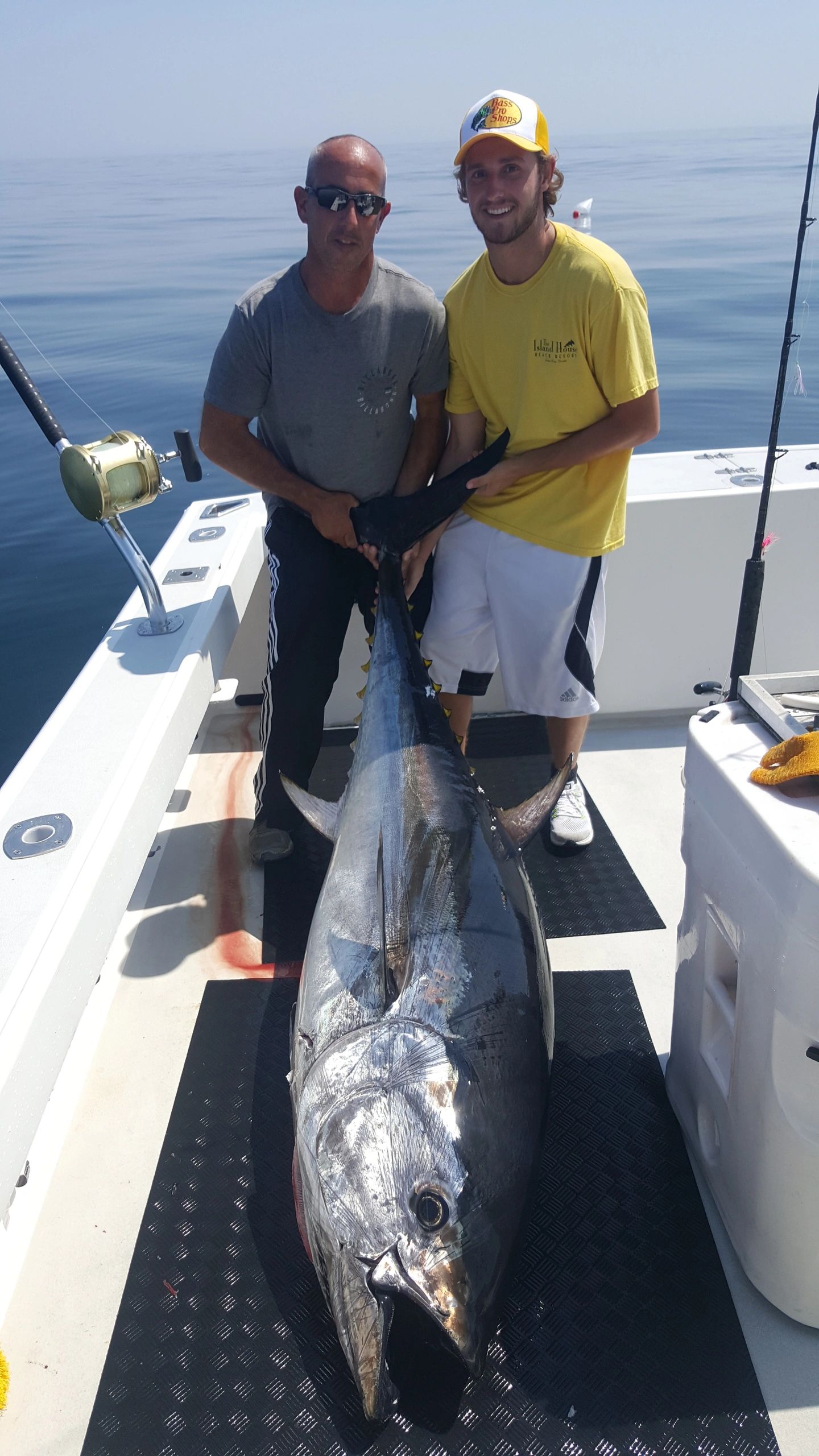 Cape Cod Kite Fishing for Giant Tuna