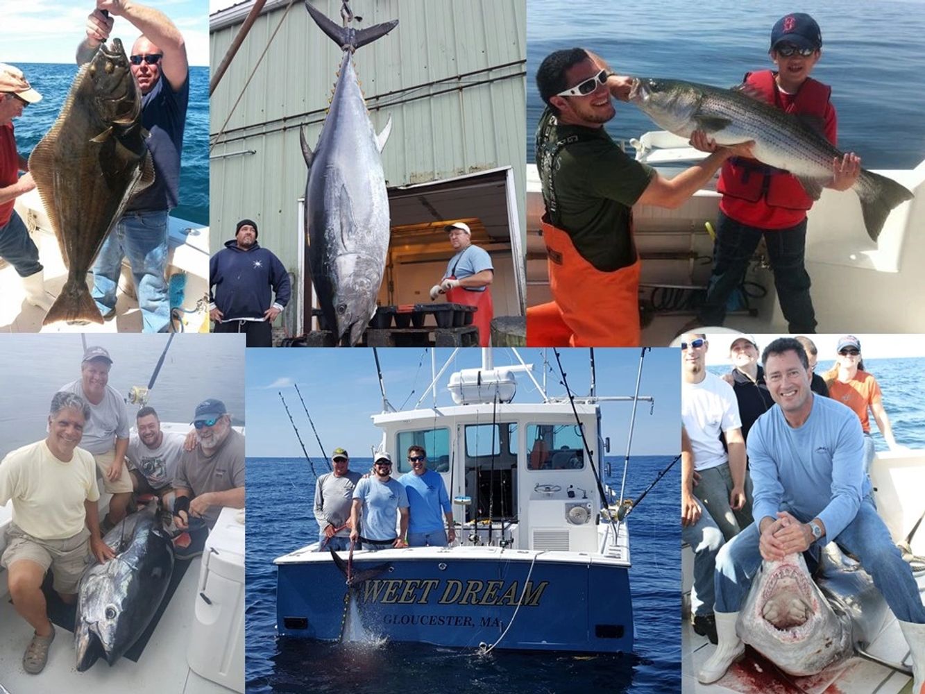 Deep sea fishing charter