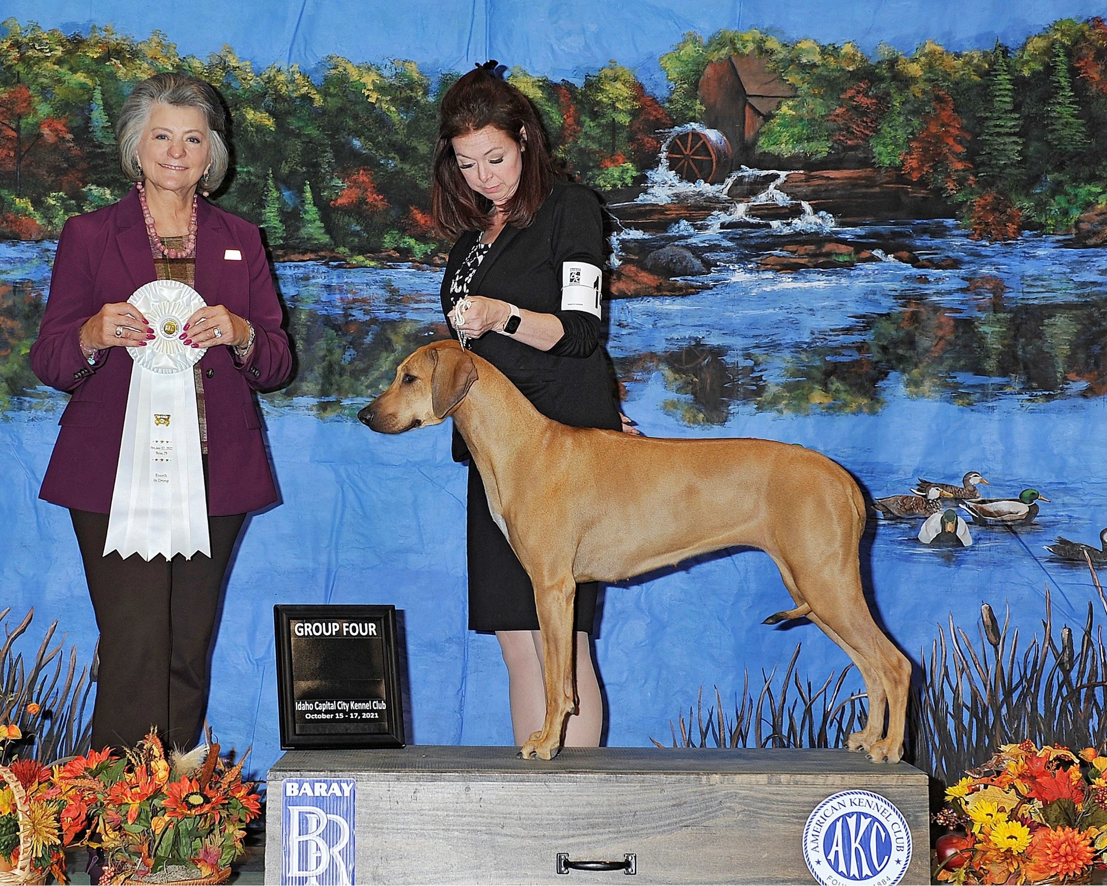 Pinnacle Rhodesian Ridgebacks - Rhodesian Ridgebacks