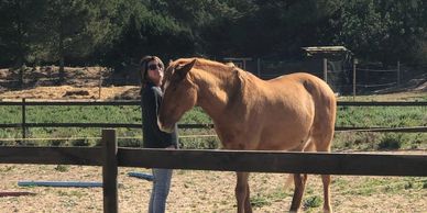 paardencoaching privé / paarden coaching een-op-een sessie op Ibiza