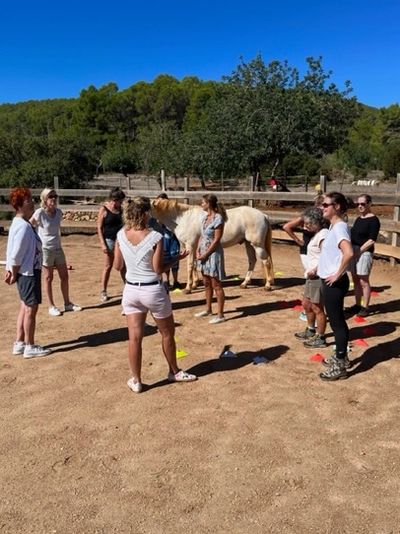 paarden coaching groep sessie op Ibiza