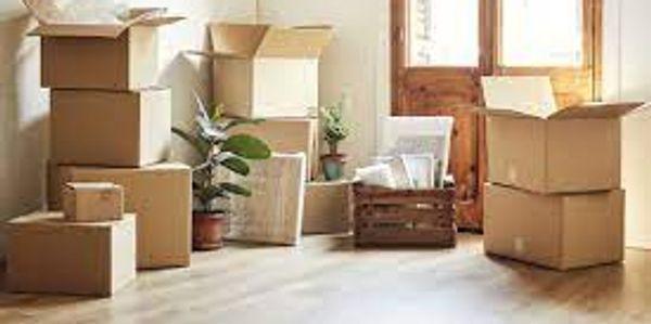 packing and moving manahawkin NJ moving and packing LBI new jersey storage nj Movers ship bottom 