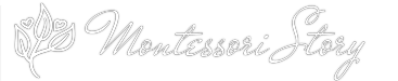 Montessori Story