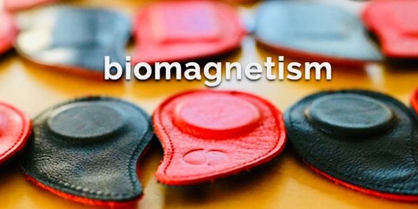 Colorful biomagnetism therapy magnets on a wooden surface.