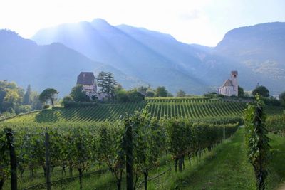 Schloss Englar, Gothic, Castle, Alto Adige, Sudtirol, Pinot Noir, Chardonnay, 