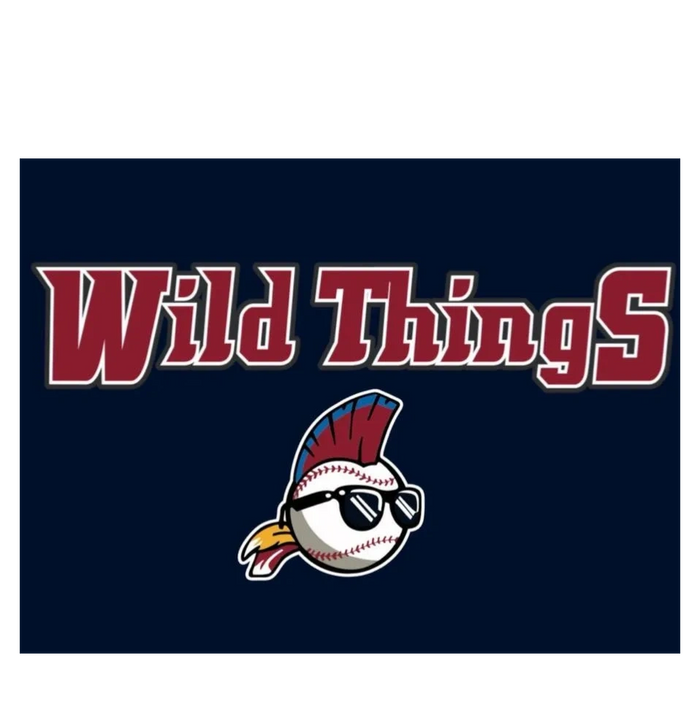 National Championship Sports, Baseball, ETX Wild Things