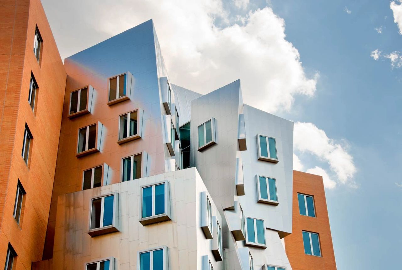 Without Limits /Frank Gehry