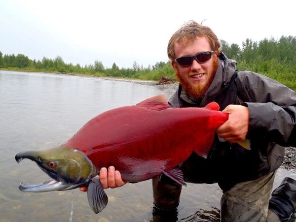 Coho Salmon Fishing Fishing - Rainbow King Lodge Alaska