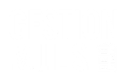 GESTION M.J.L.S.