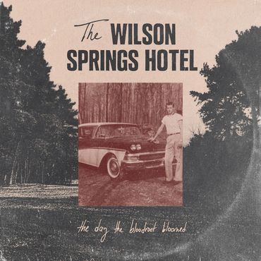 The Wilson Springs Hotel // The Day the Bloodroot Bloomed - LP (2026) // Pedal Steel
