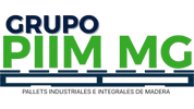 Grupo PIIM MG