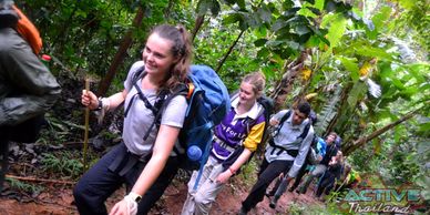 Trekking Thailand jungles