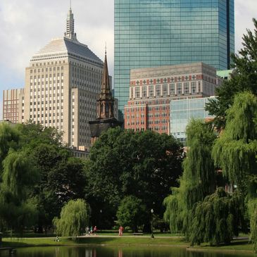City skyline with modern and historic buildings behind a lush green park and pond.