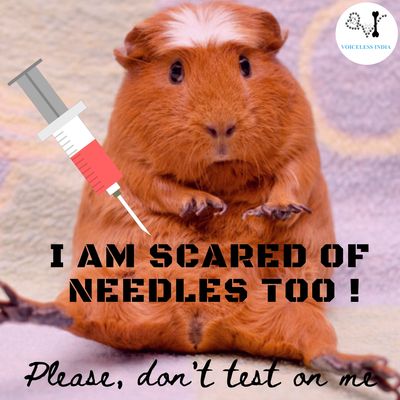 Animal Testing Memes