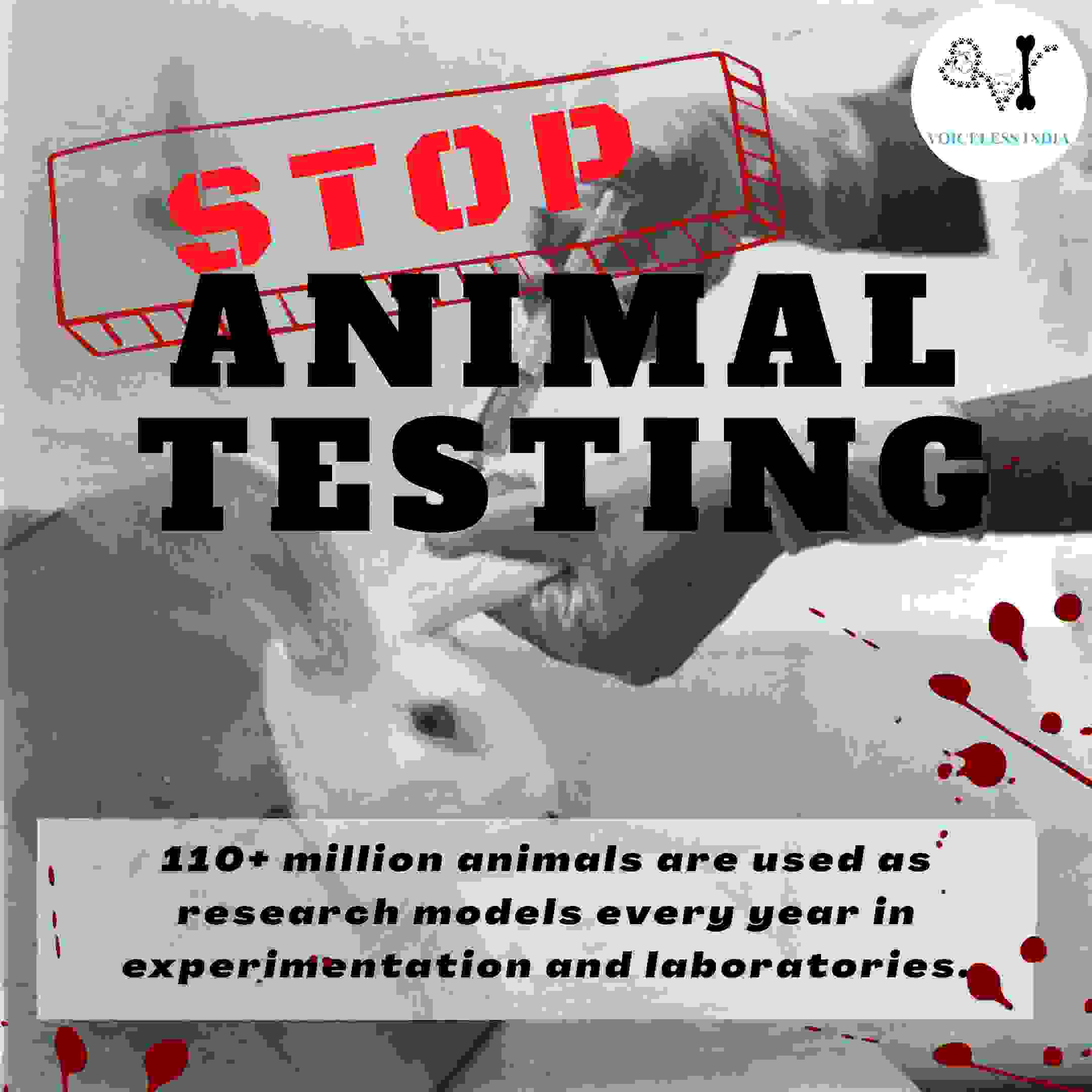 ANIMAL TESTING | Voiceless India