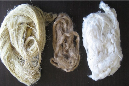 Hemp clothing: an eco-friendly vegan alternative for wool