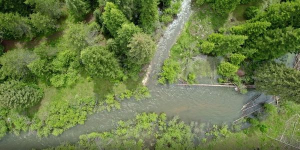 Newly created side channel for Steelhead salmon in the EF Potlatch River. 