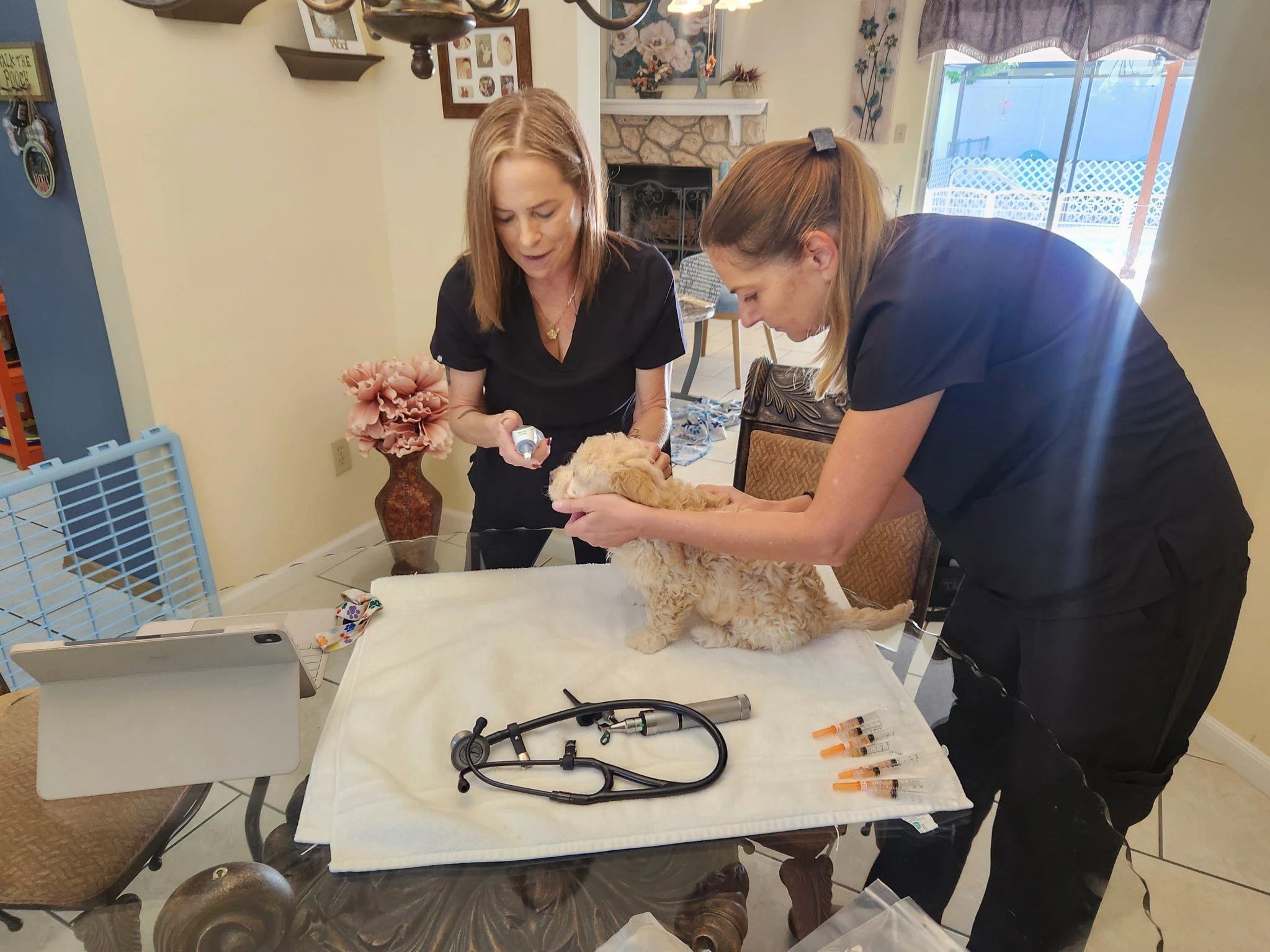 Hurleys Vet: Affordable Mobile Veterinary Care in Orlando