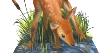 St. Paul Lutheran Church