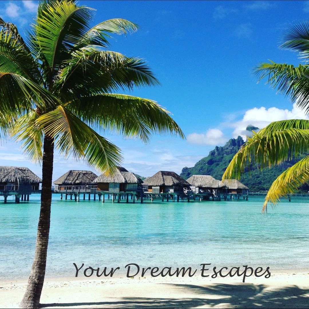 Your Dream Escapes Travel Travel Agency Fresno, Travel