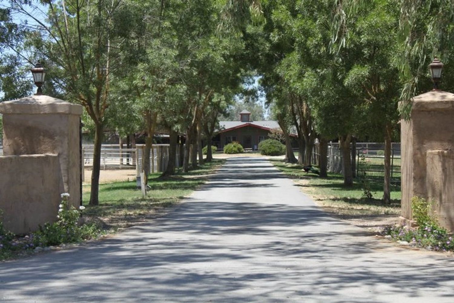 Tree-lined driveway leading to a house with stone pillars at the entrance.