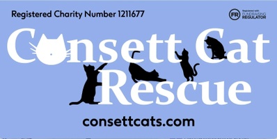 Consett Cat Rescue