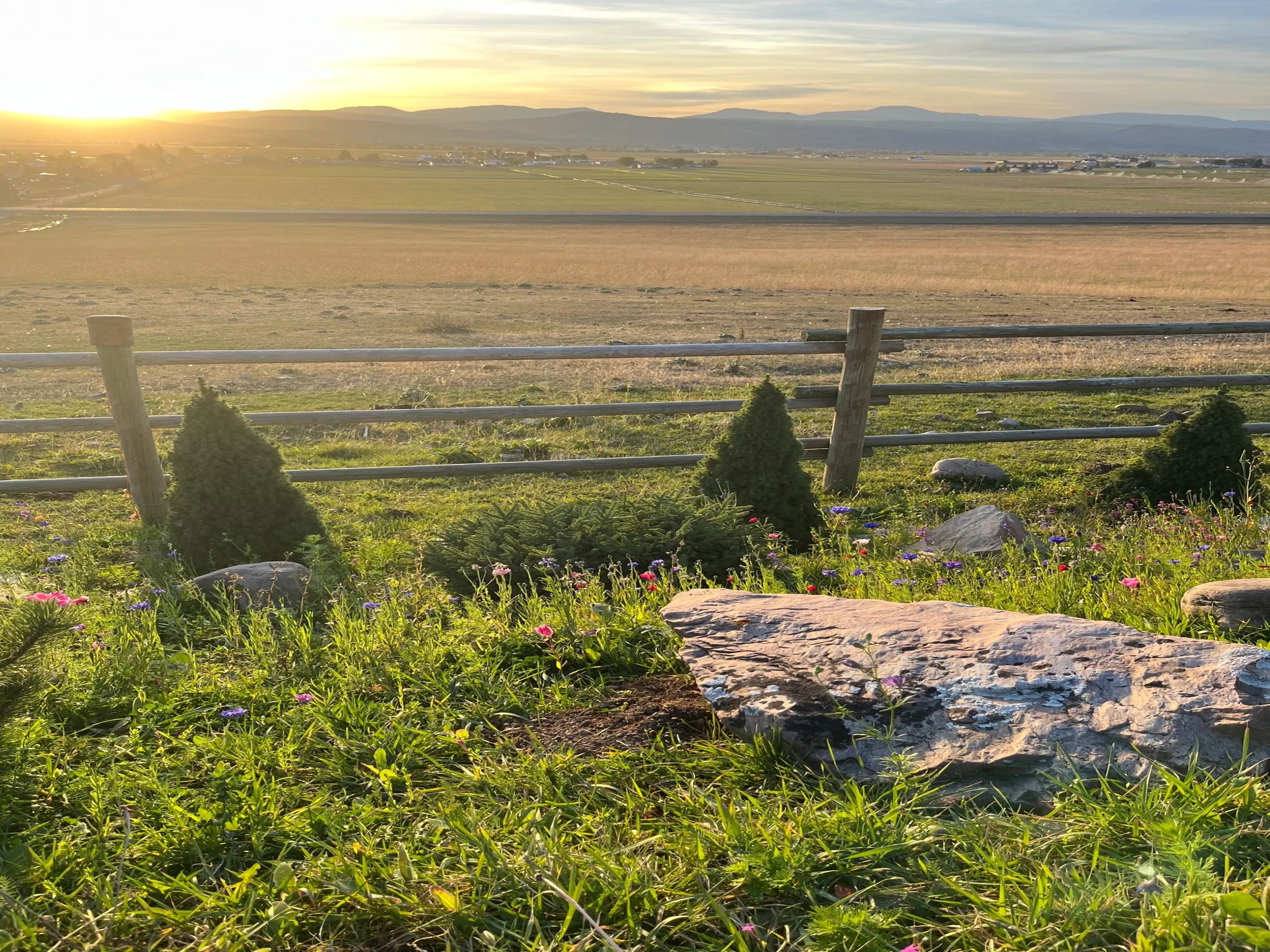 Dry Creek Pumping & Portables