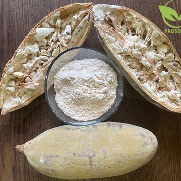 Baobab Super fruit powder Sudan Africa proseeds world import export