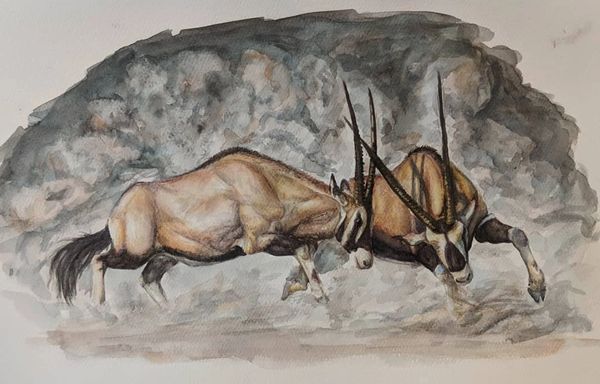 Watercolor