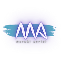 Meraki Entertainment Group