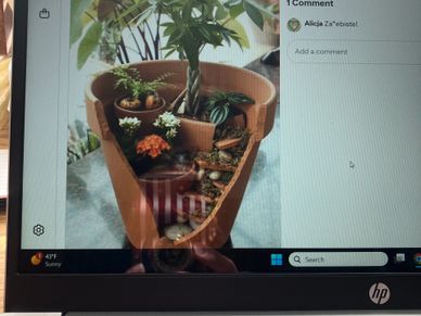 Miniature garden with a tree and small plants in a terracotta pot.