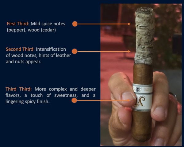Descripción de las notas de sabor del cigarro en tres etapas.