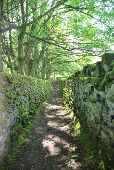 A shaded path between moss-covered stone walls under leafy trees.
