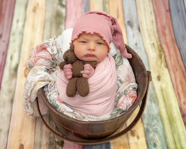 Fine Art Newborn Portrait editorial vibe Charleston SC Pastel wood floor baby in bucket pink + teddy