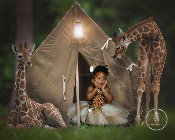 Fantasy/Fairy tale Photographer Charleston SC Tent, girl in tutu 2 giraffes girl looks surprised 
