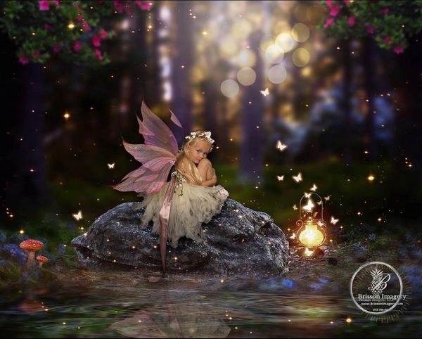 Fantasy/Fairy tale Photographer Charleston SC  Dark forest, fairy on rock, fireflies