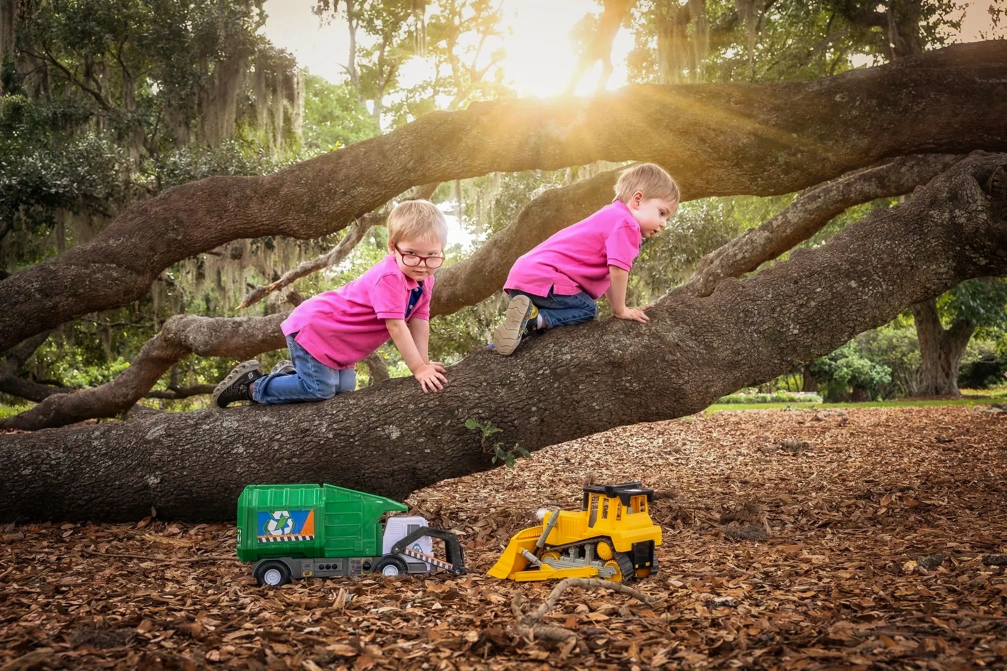 Identical Twin Boys Climb a live oak tree with toy trucks Charleston SC by Tonya Brisson BrissonImag