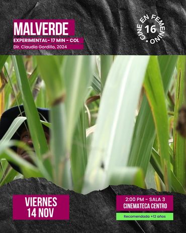 Poster for the experimental film 'Malverde' showing a person hidden in green foliage.