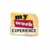 my-work-experience.com