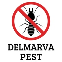 Delmarva Pest

